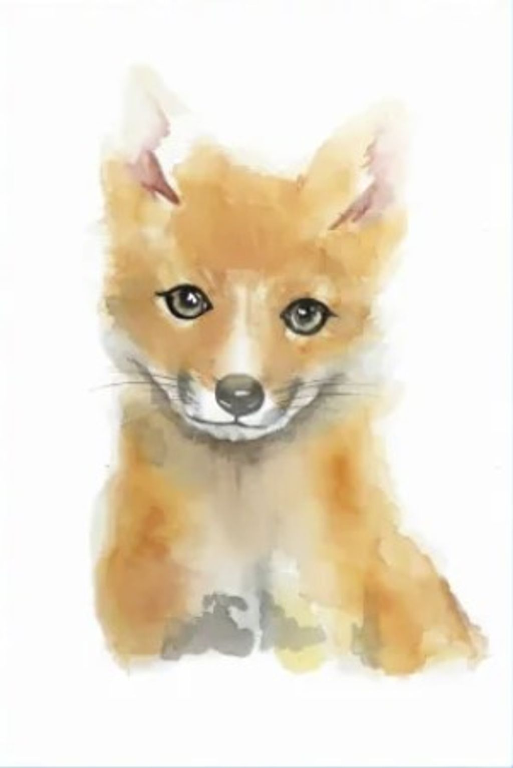 Baby Fox