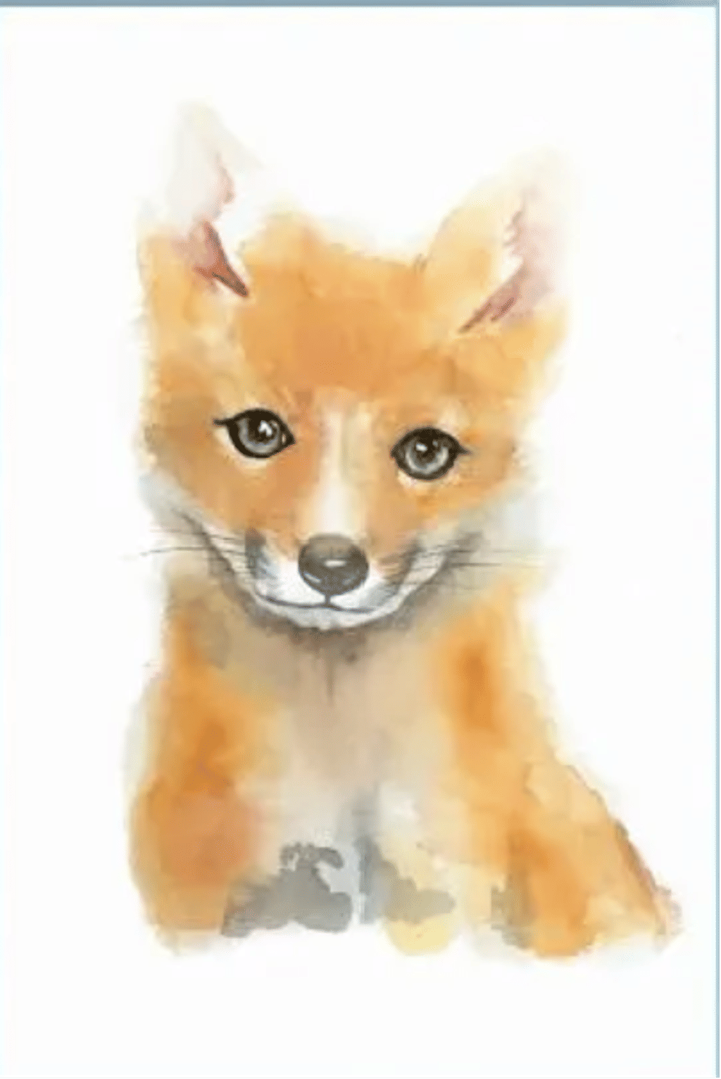 Baby Fox