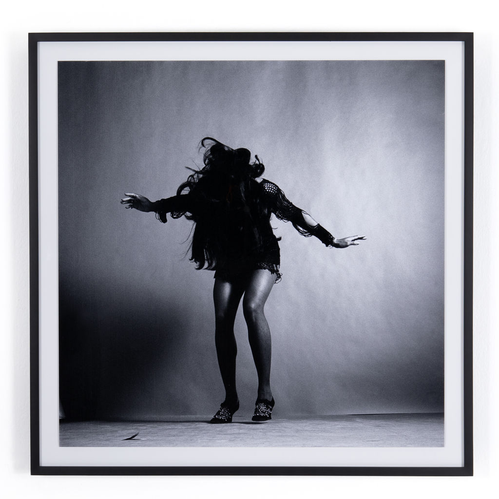 Preview image for Tina Turner Wall Art