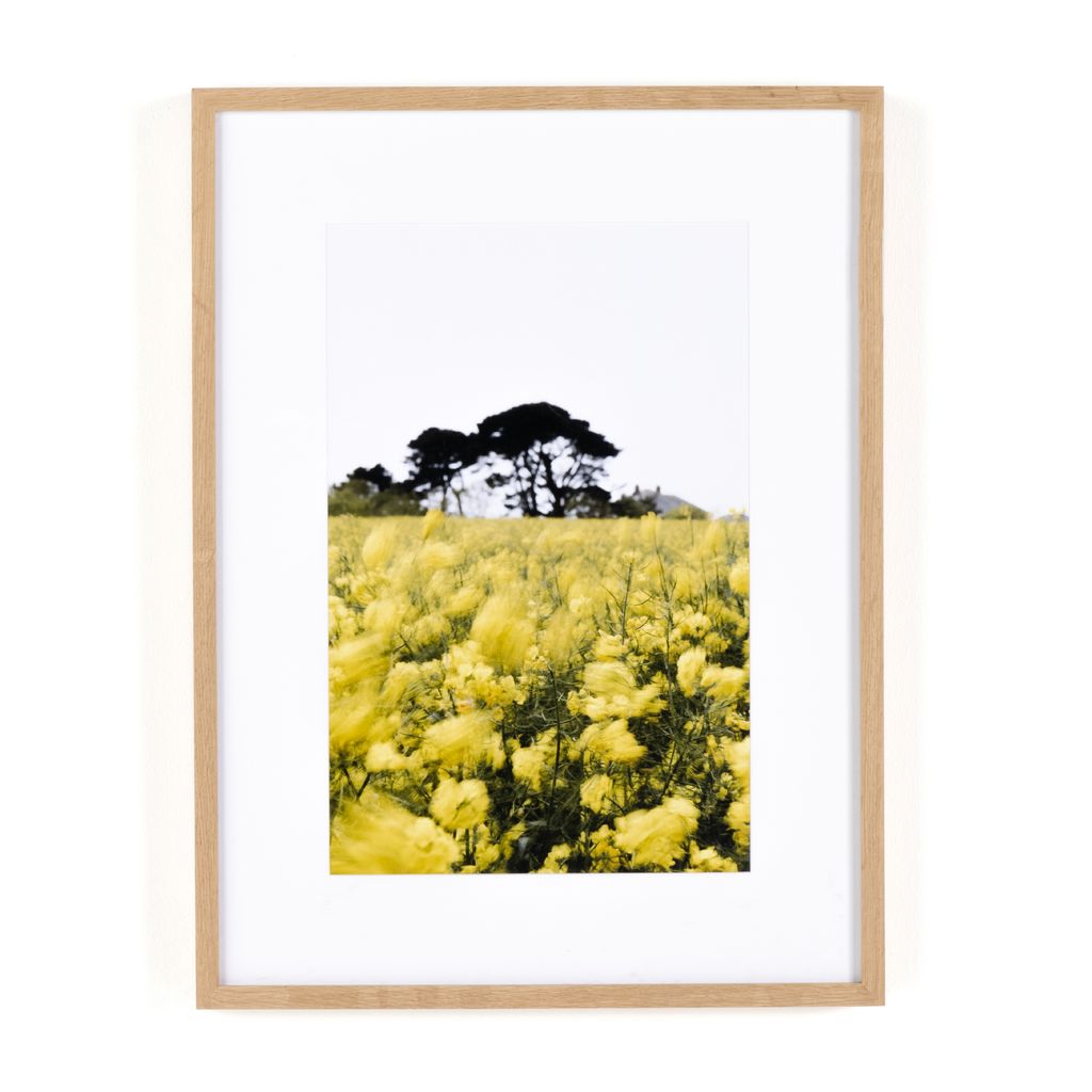 Preview image for In The Details Ii By Annie Spratt