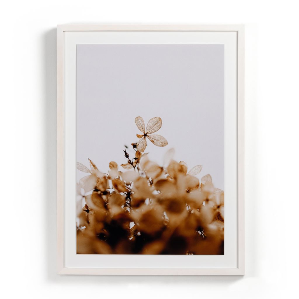 Preview image for Greetings By Annie Spratt