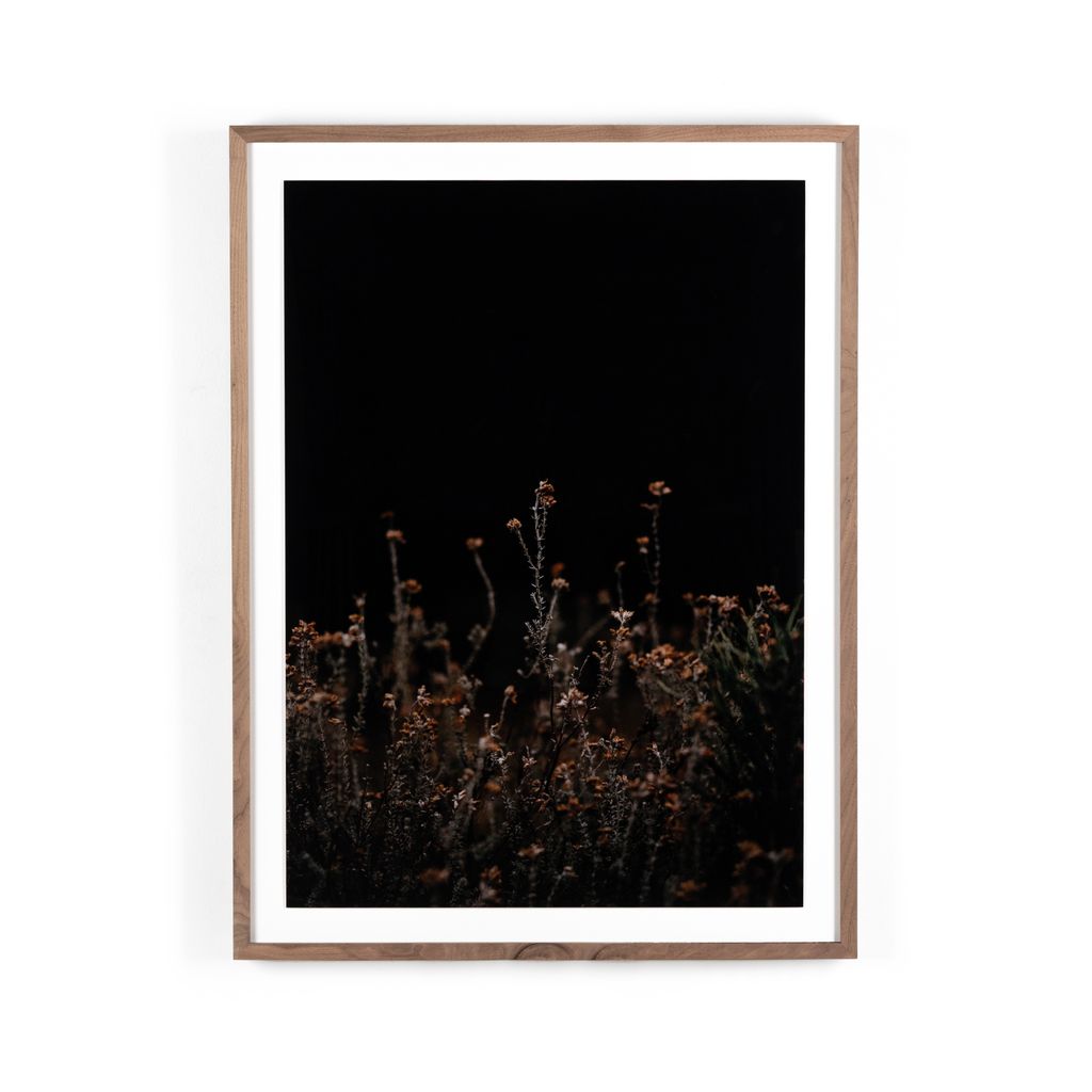 Preview image for Escape I By Annie Spratt