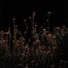 Image 5 of 6
