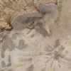 Image 5 of 9