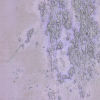 Image 5 of 6