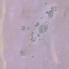 Image 6 of 6