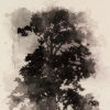 Image 4 of 4