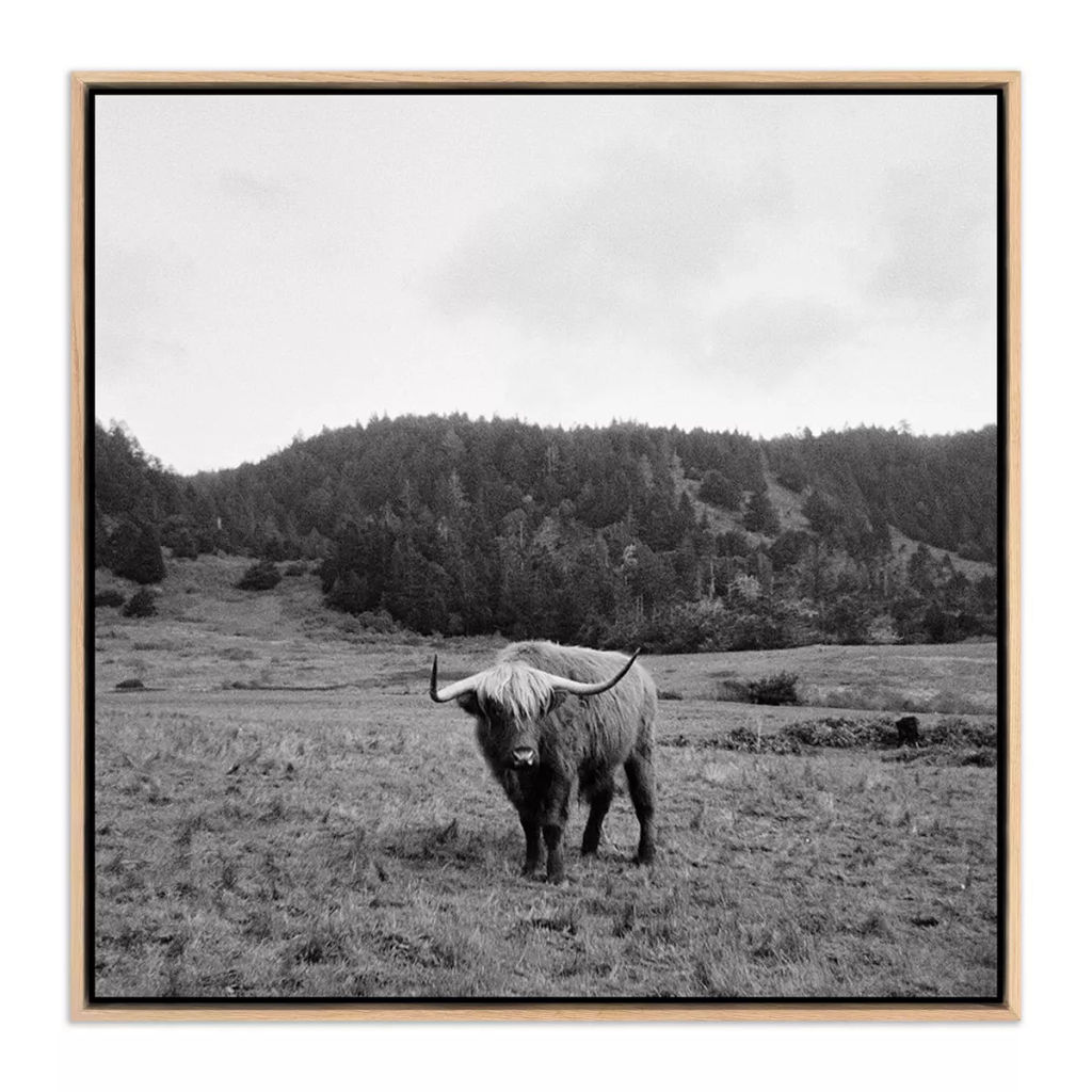 Highlander / Elk, Ca By Wesley And Emma Teague 40" X 2" X 40", Vertical Grain White Oak Floater