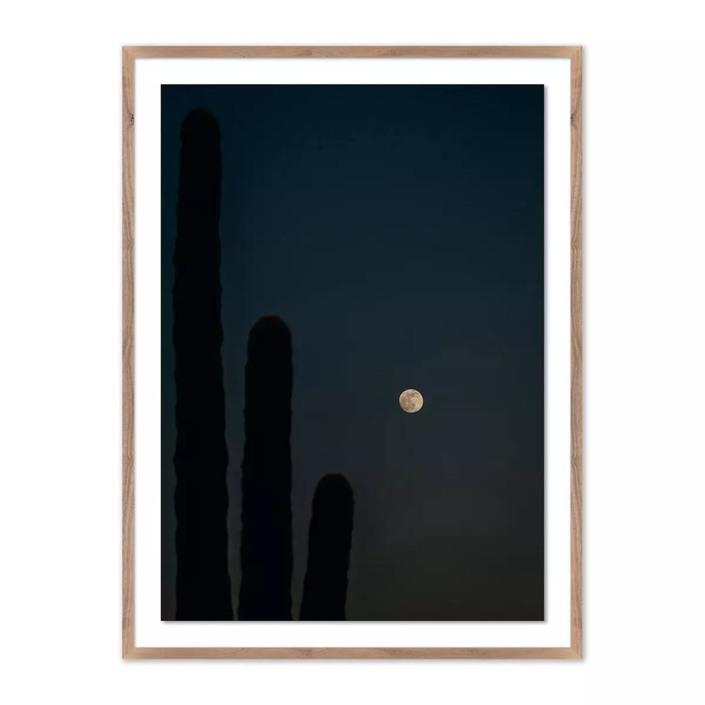One, Two, Three...moon By Coy Aune 18" X 1.5" X 24", Rustic 1.5 Walnut