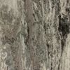 Image 2 of 8