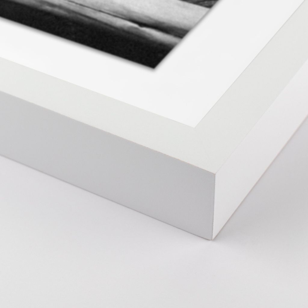 Tough Skin By Wesley And Emma Teague - 30"X40" Size - White Maple Frame - Framed Paper Presentation Type