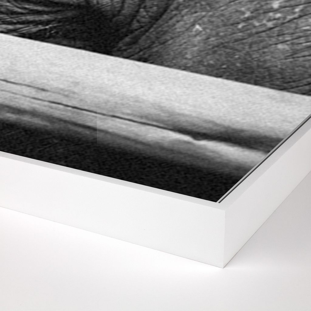Tough Skin By Wesley And Emma Teague - 36"X48" Size - White Maple Frame - Framed Canvas Presentation Type
