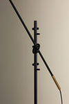 Image 8 of 8