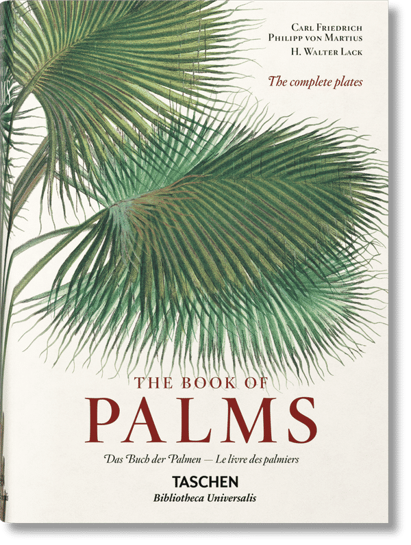 Martius. The Book Of Palms