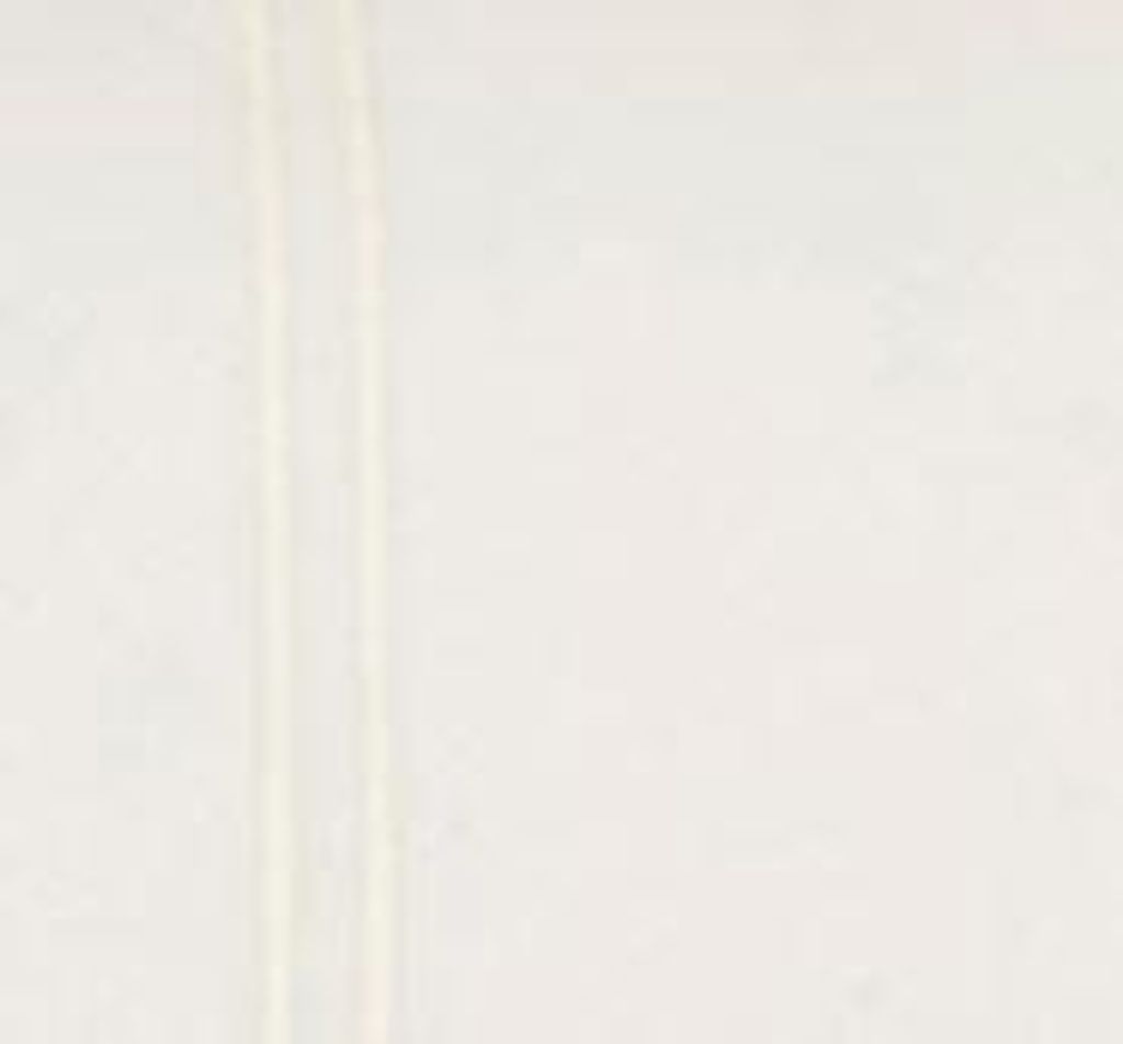 Grande Hotel Continental Sham 26X26 In Ivory/Ivory