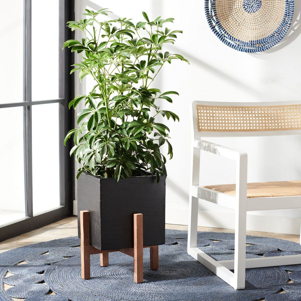 Borsla Planter, 14.3" X 17.5", Natural/Black