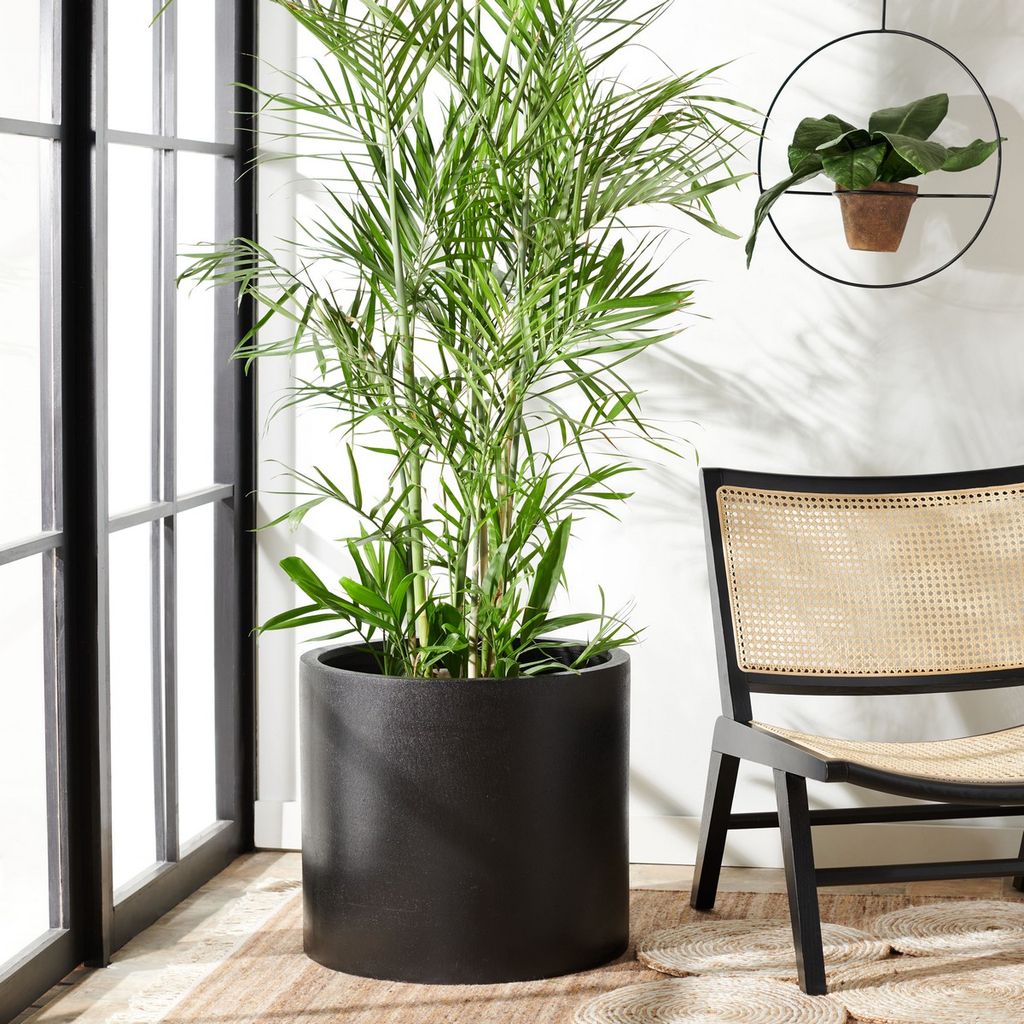 Alia Planter, 21.6" X 19.2"