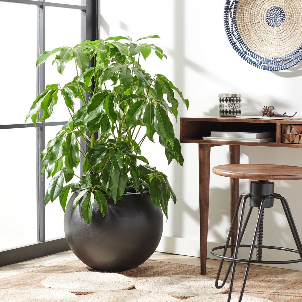Kenslia Planter, 19.6" X 15.7"