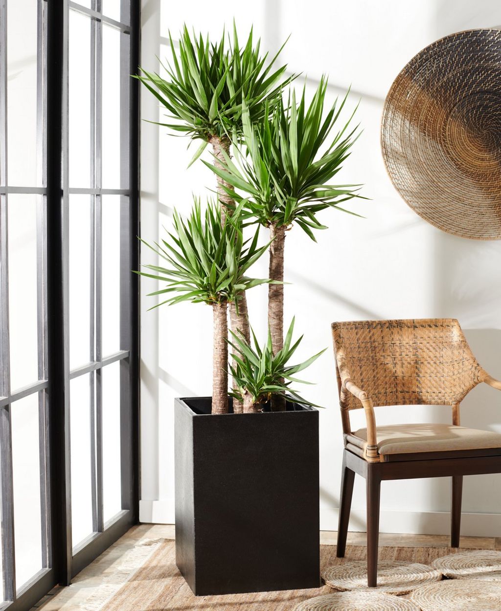 Kendri Planter, 16.9" X 24"