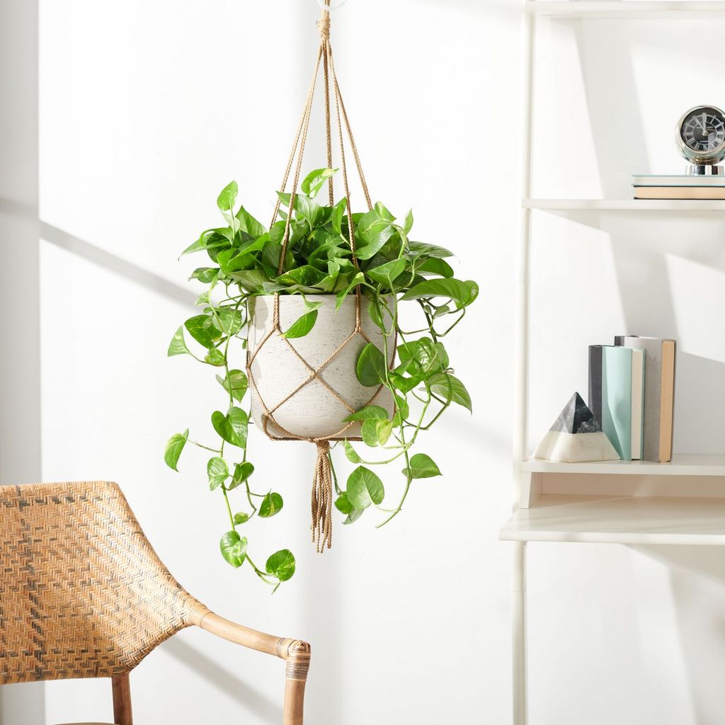 Peltria Planter, 9.8" X 9.4", Light Grey