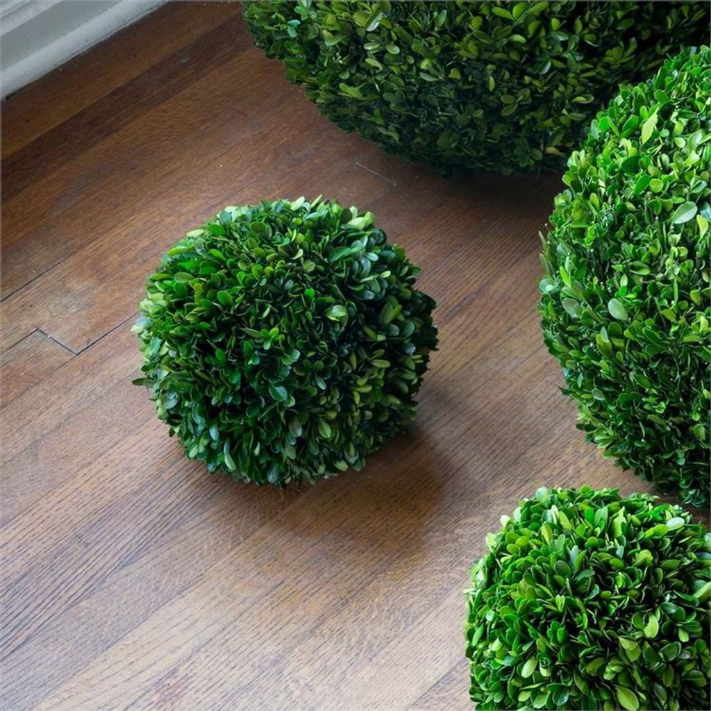 Preserved Boxwood Ball, 10"