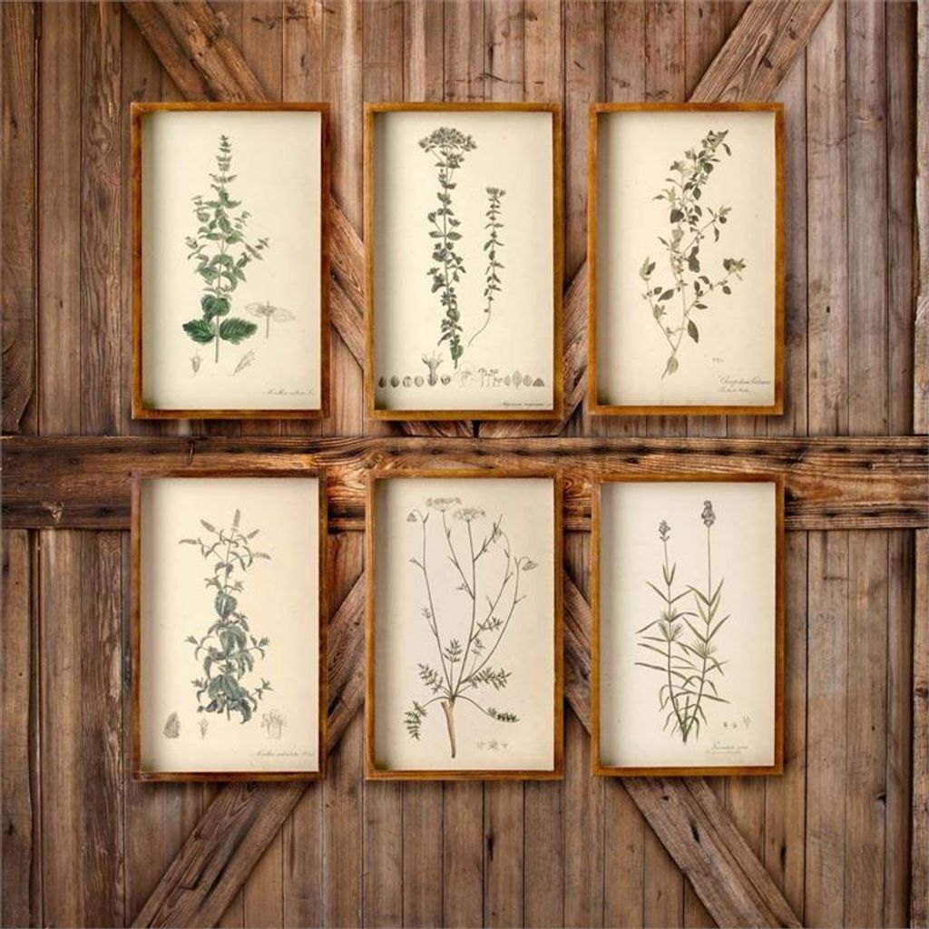 Preview image for Collected Botanical Framed Prints, Set Of 6