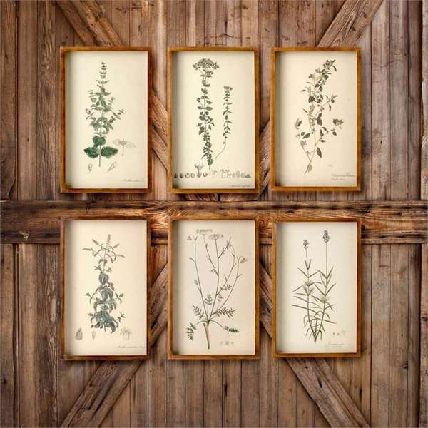 Collected Botanical Framed Prints, Set Of 6