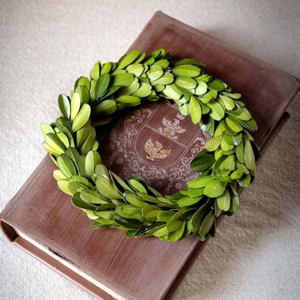 Preview image for Mini Preserved Boxwood Wreaths, Set Of 6