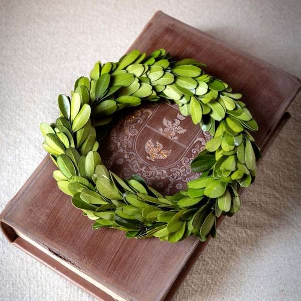 Mini Preserved Boxwood Wreaths, ( Set of 6 )