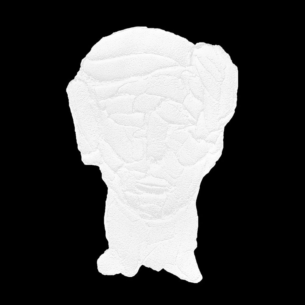 Preview image for Self Reflection Blanc Ii, 24 X 24