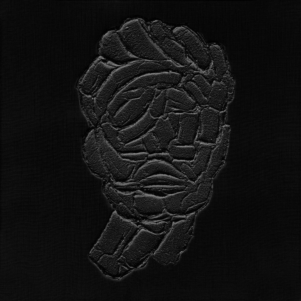 Self Reflection Noir Ii, 24 X 24