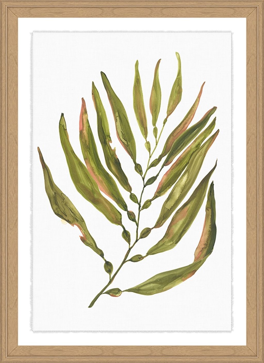 Preview image for Sea Kelp Collection Iv, 17" X 23"