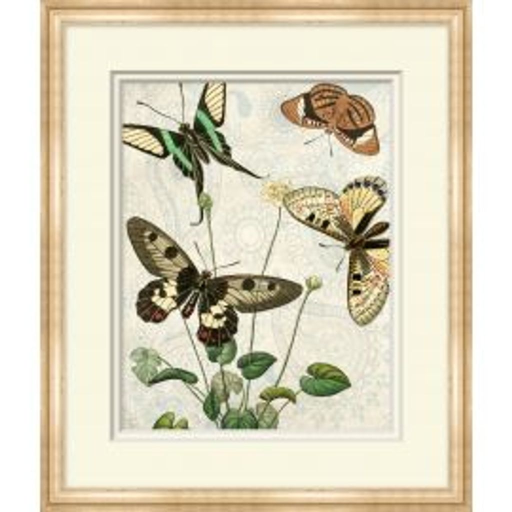 Butterfly Pattern 1