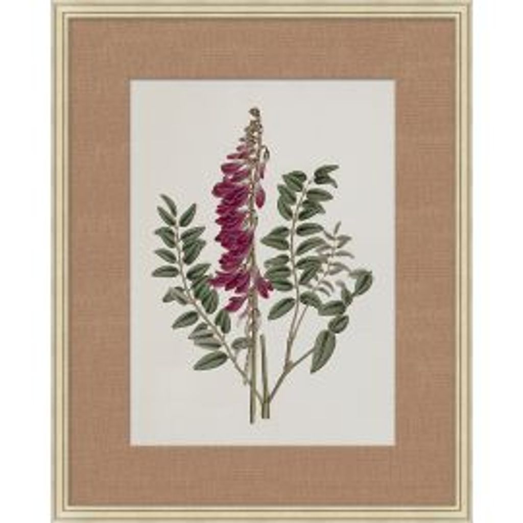 Preview image for Floral Study In Plum 1