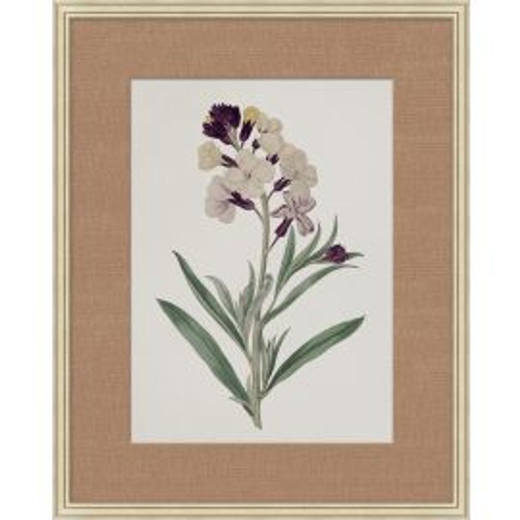 Preview image for Floral Study In Plum 5