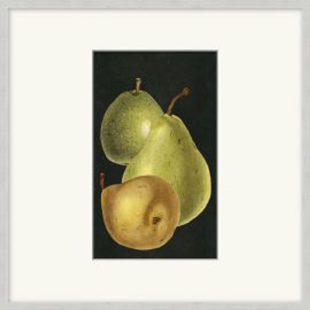 Fruit Study 6