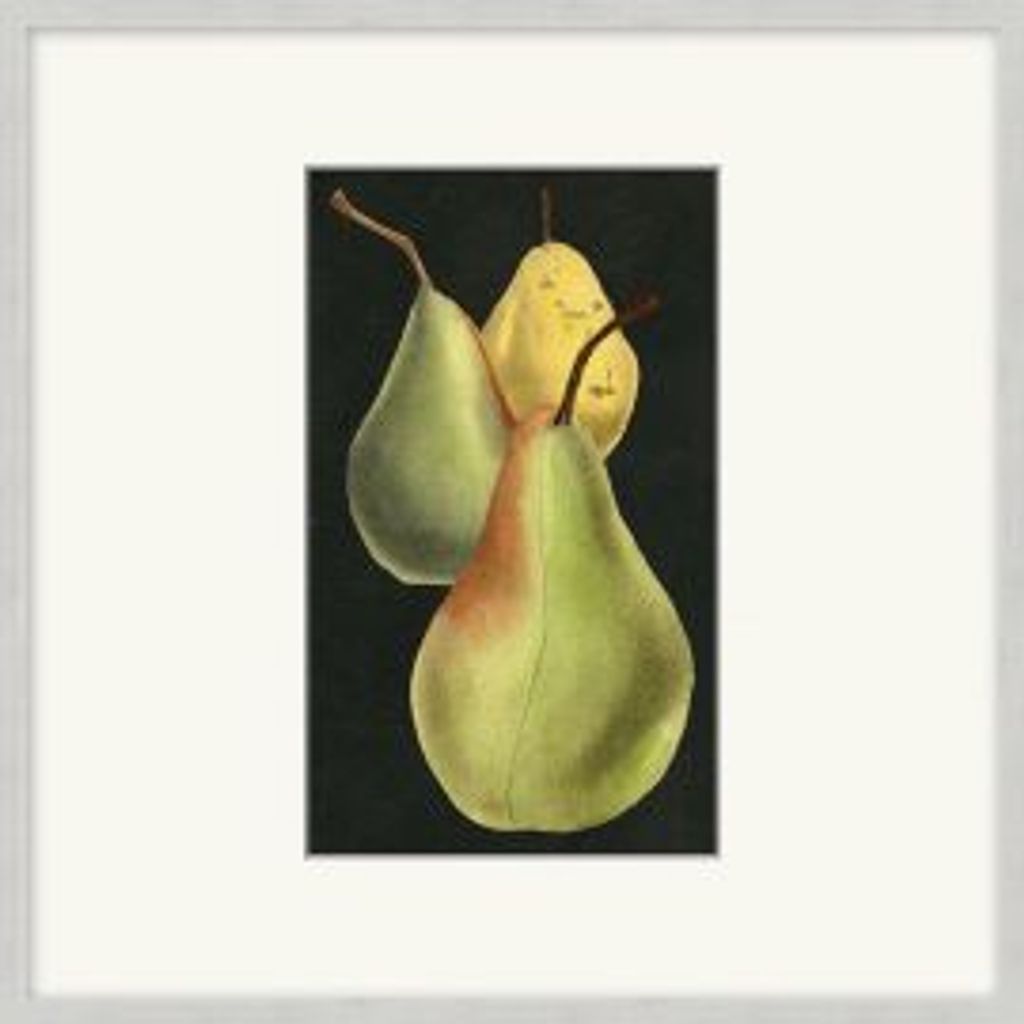 Fruit Study 4