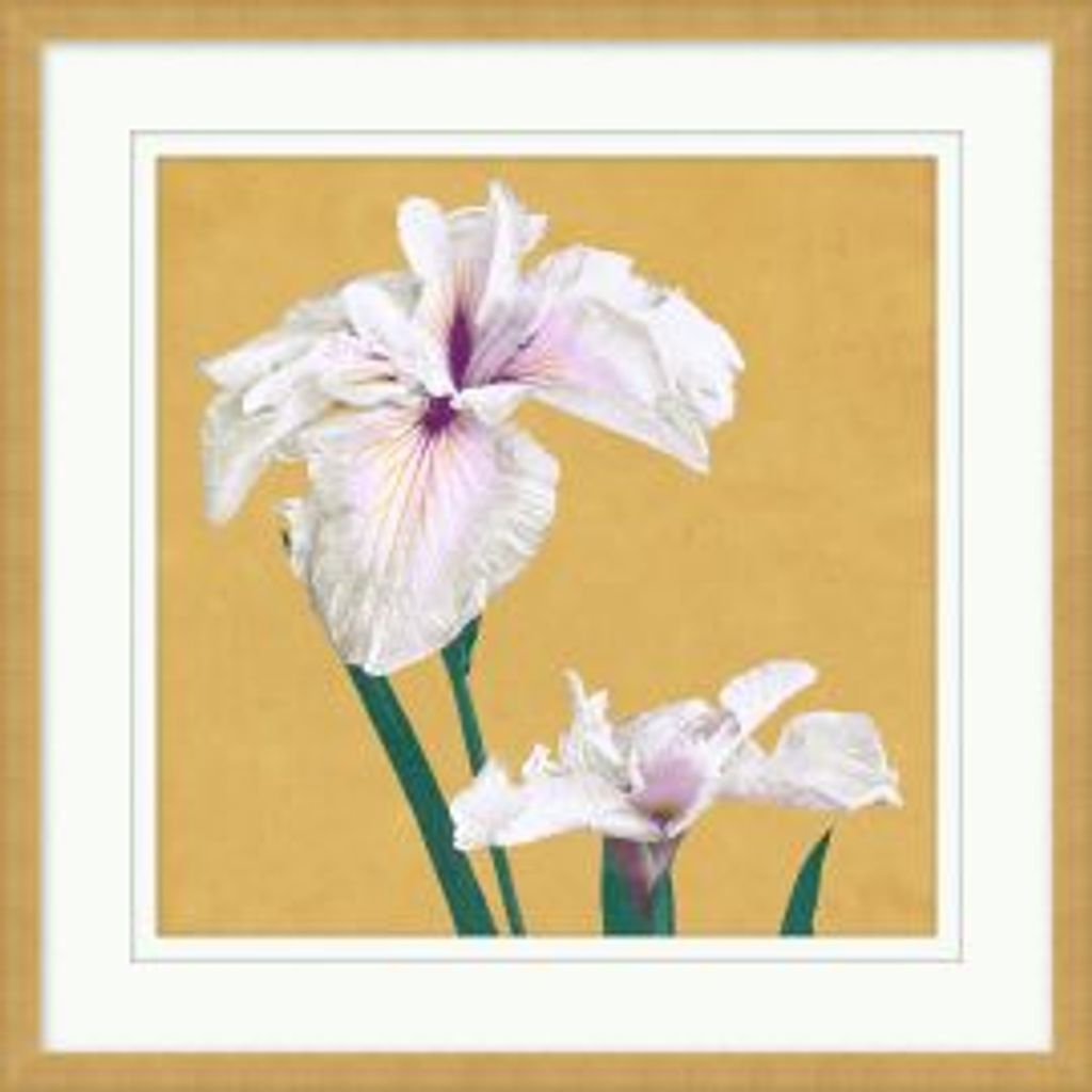 Preview image for Vibrant Flowers Print