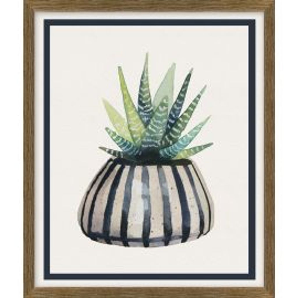 Preview image for Potted Succulent #2