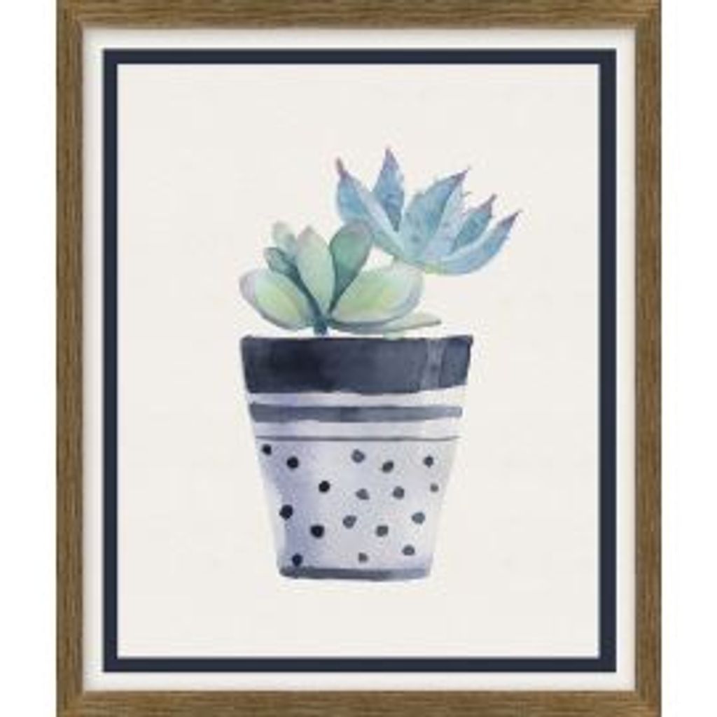 Preview image for Potted Succulent #1