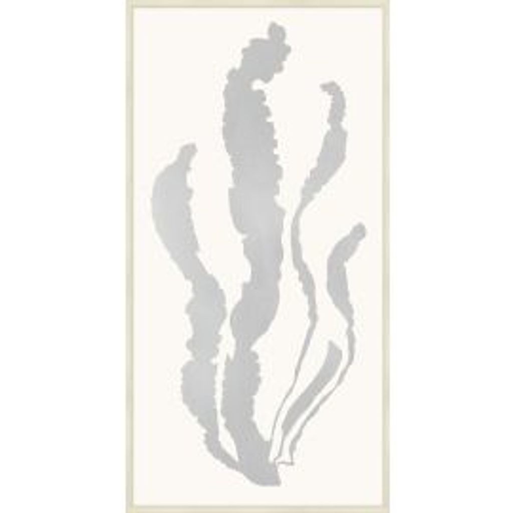 Preview image for Silver Leaf Sea Grass 2