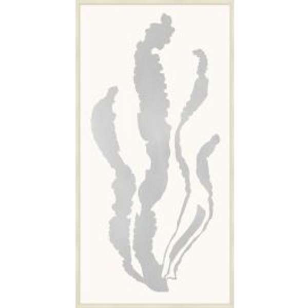 Silver Leaf Sea Grass 2