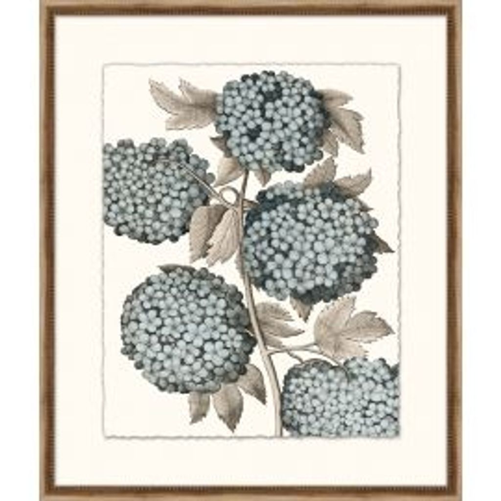 Azure Botanical 2 Framed Wall Art