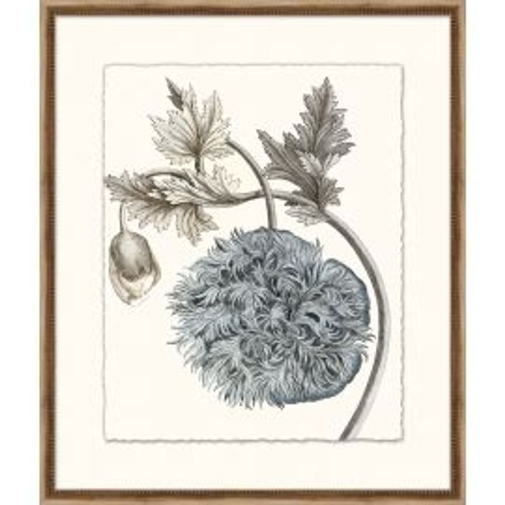 Azure Botanical 5 Framed Wall Art