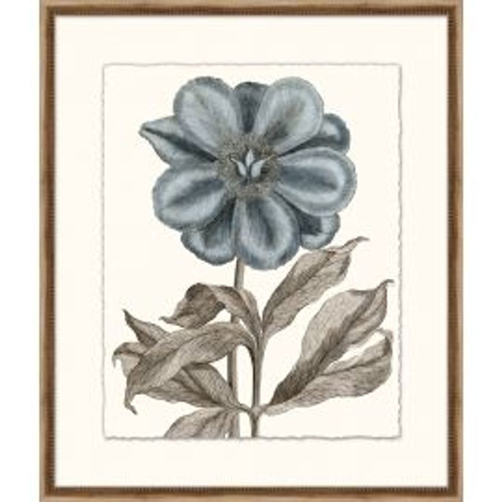 Azure Botanical 6 Framed Wall Art