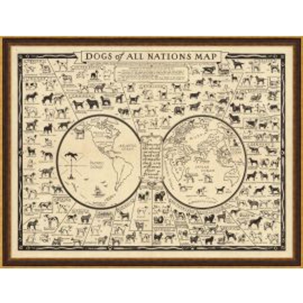 Preview image for Dogs Of All Nations Map