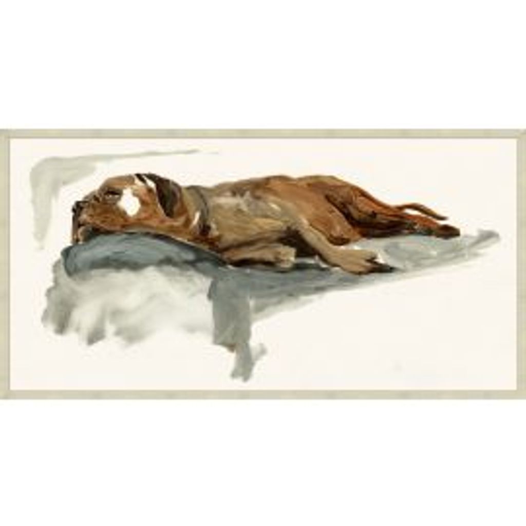 Couch Surfer