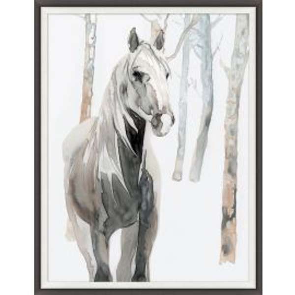 Wild Horse 1