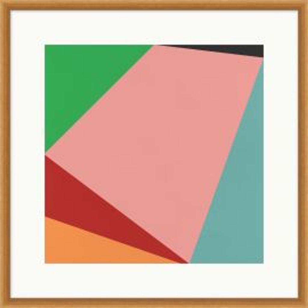 Savanna Geometry 5