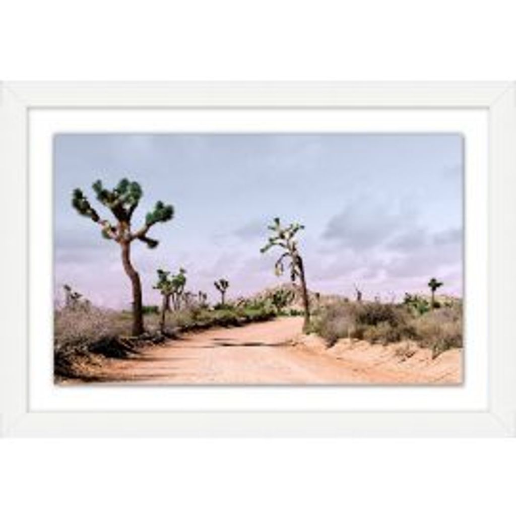 Desert Road